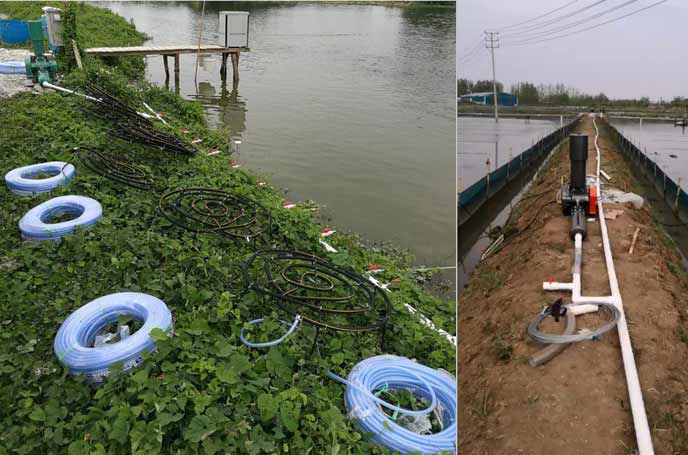 水產(chǎn)養(yǎng)殖中羅茨鼓風(fēng)機(jī)曝氧氣作用效果明顯好