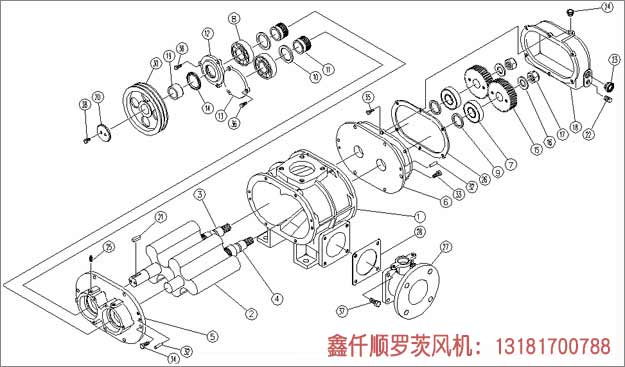 三葉羅茨鼓風(fēng)機(jī)安裝示意圖